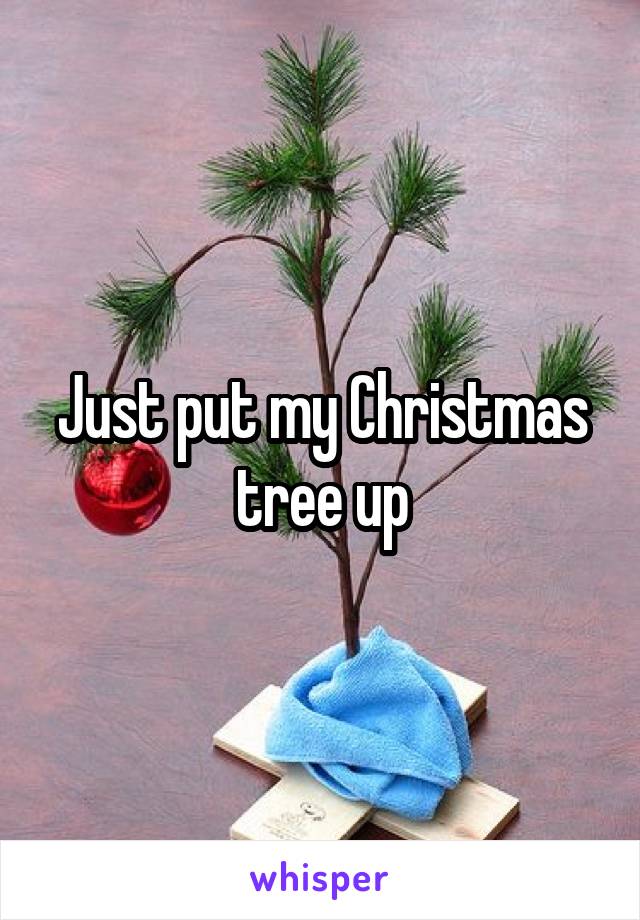 Just put my Christmas tree up