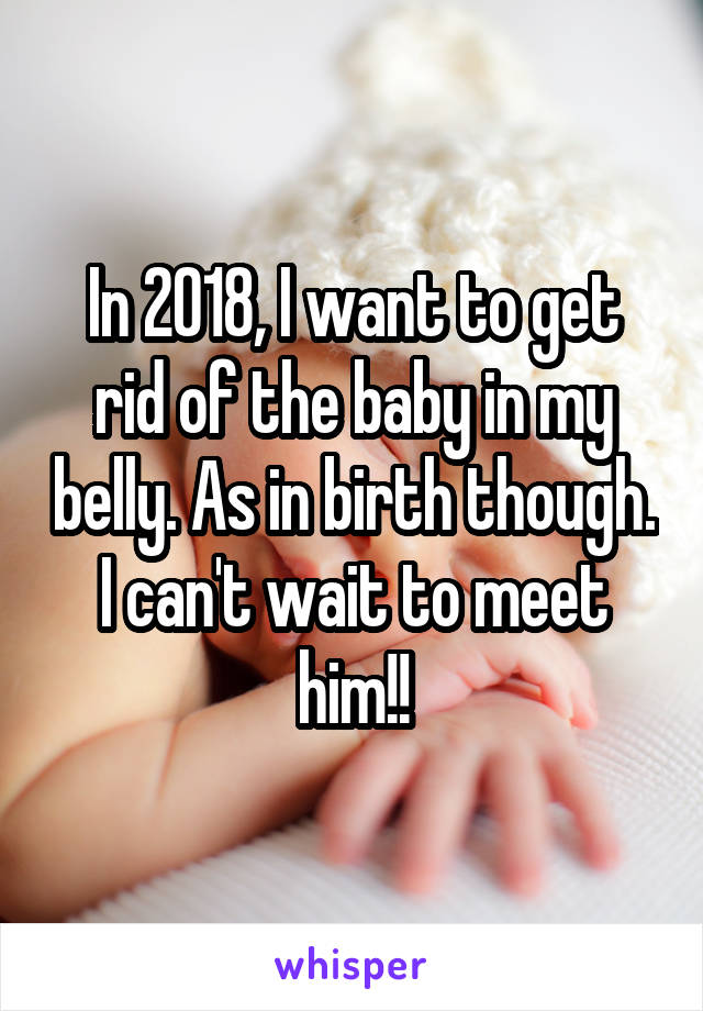 In 2018, I want to get rid of the baby in my belly. As in birth though. I can't wait to meet him!!