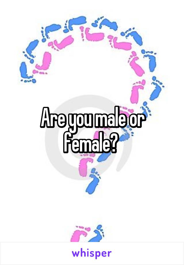 Are you male or female? 