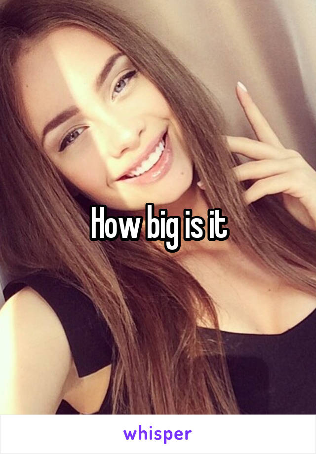 How big is it