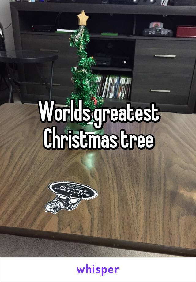 Worlds greatest Christmas tree
