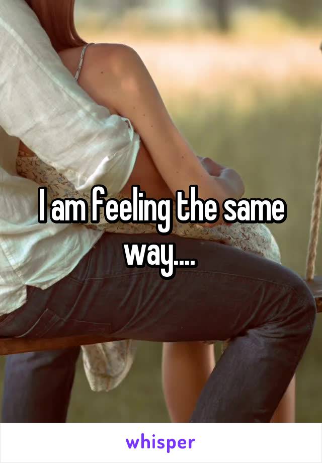 I am feeling the same way.... 