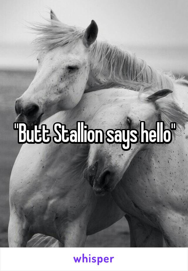 "Butt Stallion says hello"