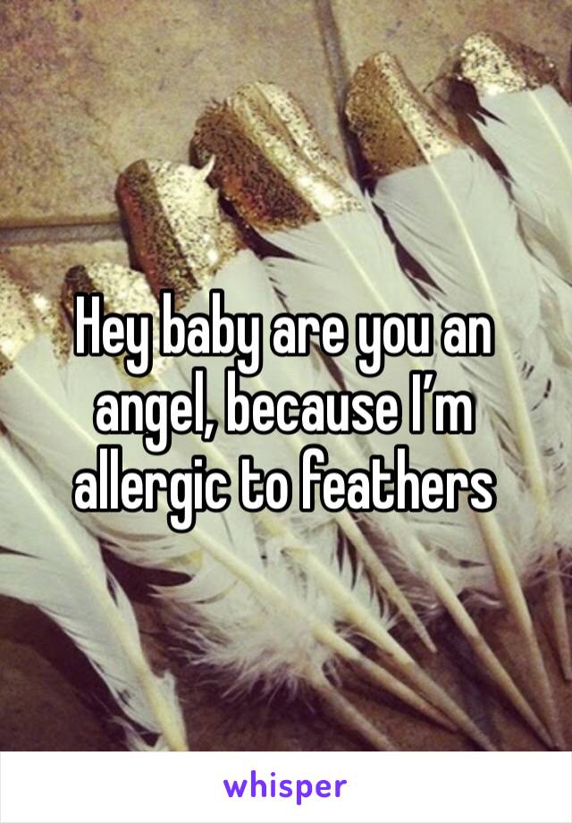 Hey baby are you an angel, because I’m allergic to feathers