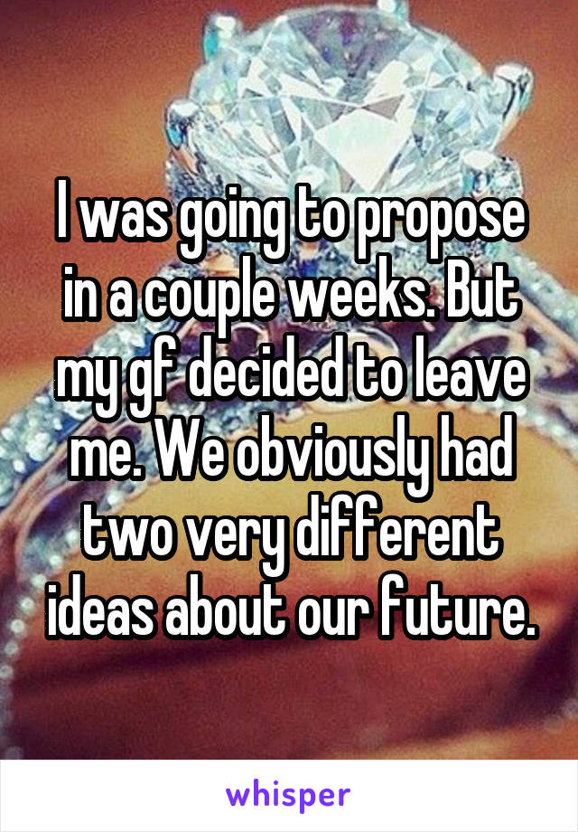 I was going to propose in a couple weeks. But my gf decided to leave me. We obviously had two very different ideas about our future.