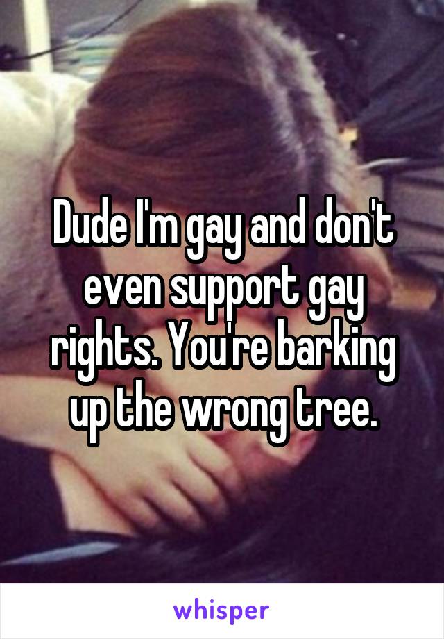 Dude I'm gay and don't even support gay rights. You're barking up the wrong tree.