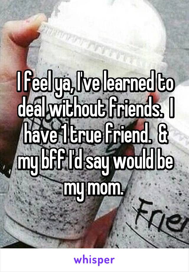 I feel ya, I've learned to deal without friends.  I have 1 true friend.  & my bff I'd say would be my mom. 