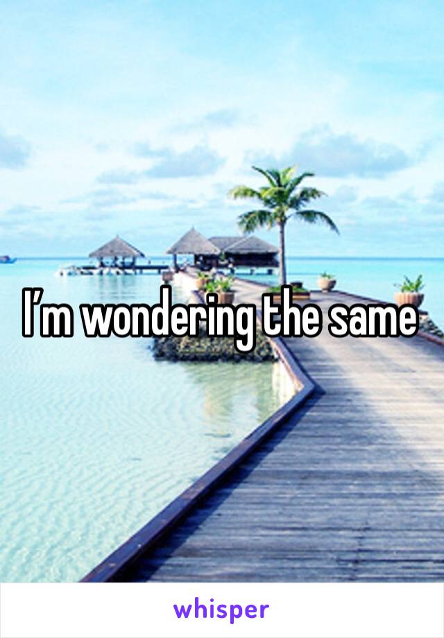 I’m wondering the same