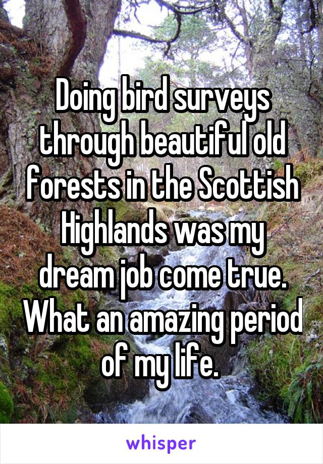 Doing bird surveys through beautiful old forests in the Scottish Highlands was my dream job come true. What an amazing period of my life. 