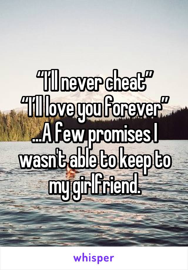 “I’ll never cheat”
“I’ll love you forever”
...A few promises I wasn't able to keep to my girlfriend.