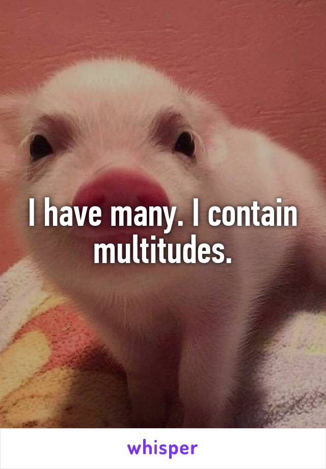 I have many. I contain multitudes.