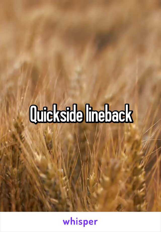 Quickside lineback