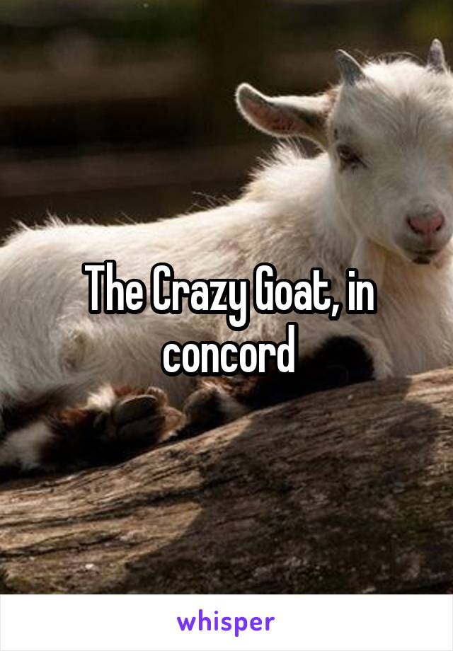 The Crazy Goat, in concord
