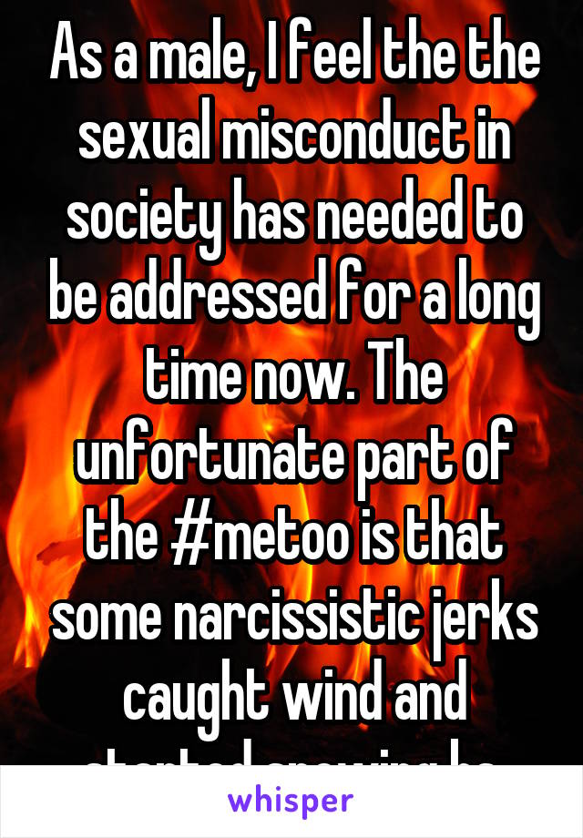 As a male, I feel the the sexual misconduct in society has needed to be addressed for a long time now. The unfortunate part of the #metoo is that some narcissistic jerks caught wind and started spewing bs.