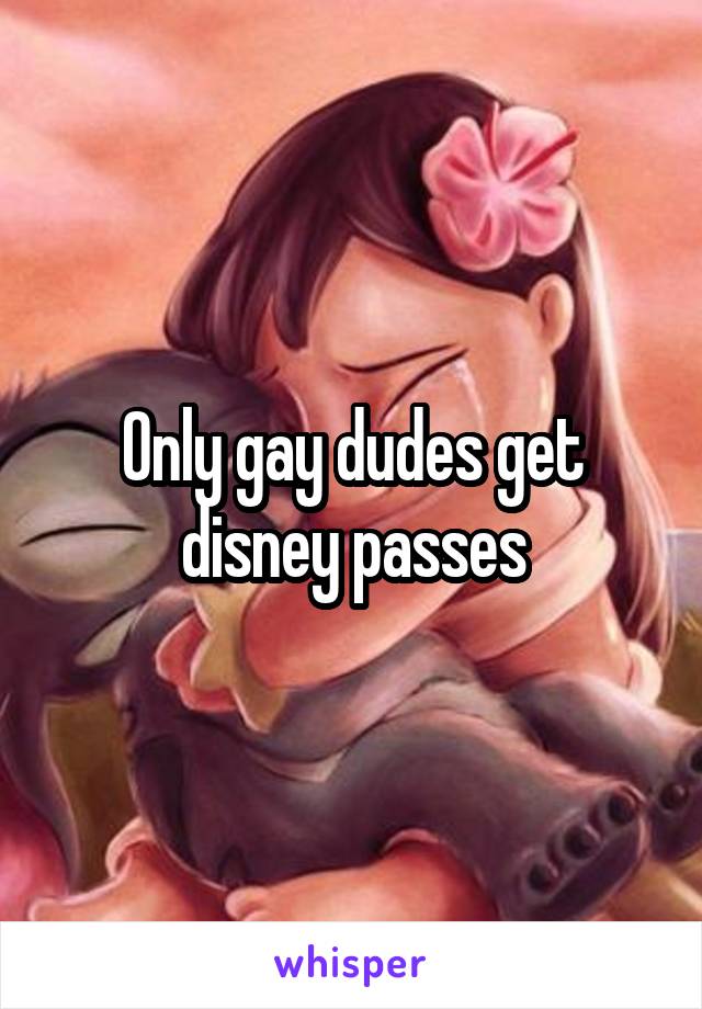 Only gay dudes get disney passes