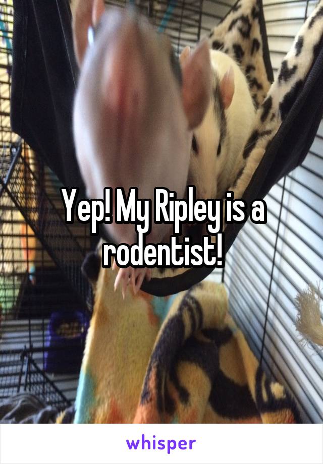 Yep! My Ripley is a rodentist!