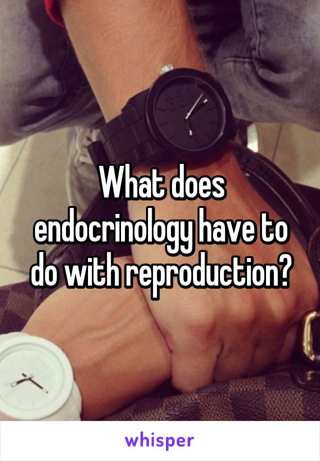 What does endocrinology have to do with reproduction?