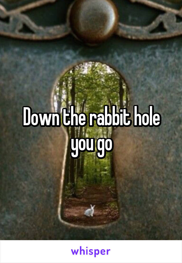 Down the rabbit hole you go