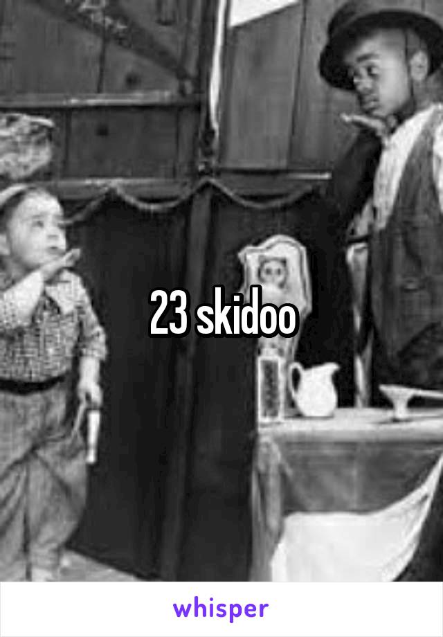 23 skidoo