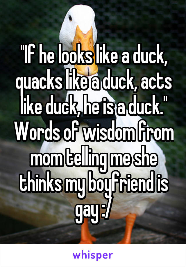 "If he looks like a duck, quacks like a duck, acts like duck, he is a duck." Words of wisdom from mom telling me she thinks my boyfriend is gay :/