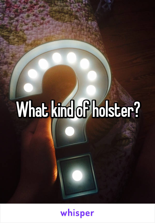 What kind of holster?