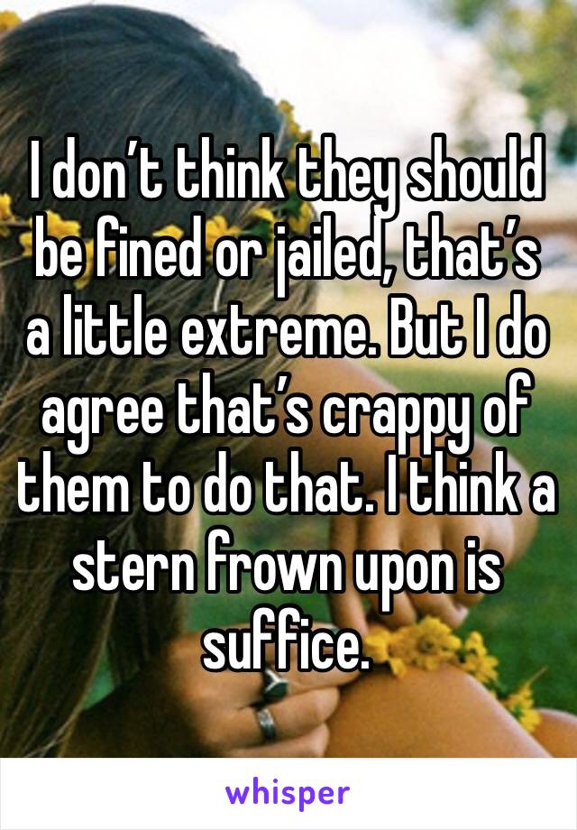 I don’t think they should be fined or jailed, that’s a little extreme. But I do agree that’s crappy of them to do that. I think a stern frown upon is suffice.