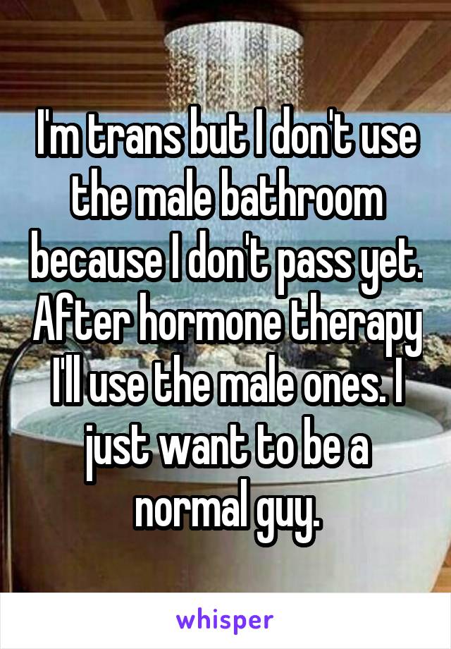 I'm trans but I don't use the male bathroom because I don't pass yet. After hormone therapy I'll use the male ones. I just want to be a normal guy.