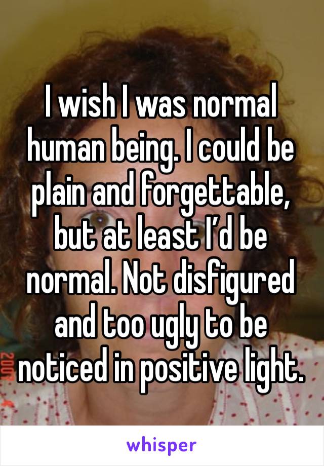 I wish I was normal human being. I could be plain and forgettable, but at least I’d be normal. Not disfigured and too ugly to be noticed in positive light.