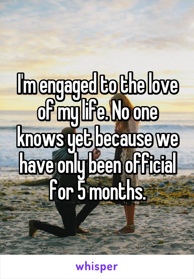 I'm engaged to the love of my life. No one knows yet because we have only been official for 5 months.