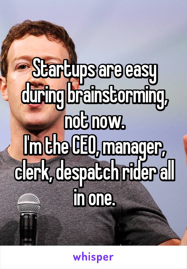 Startups are easy during brainstorming, not now.
I'm the CEO, manager, clerk, despatch rider all in one.