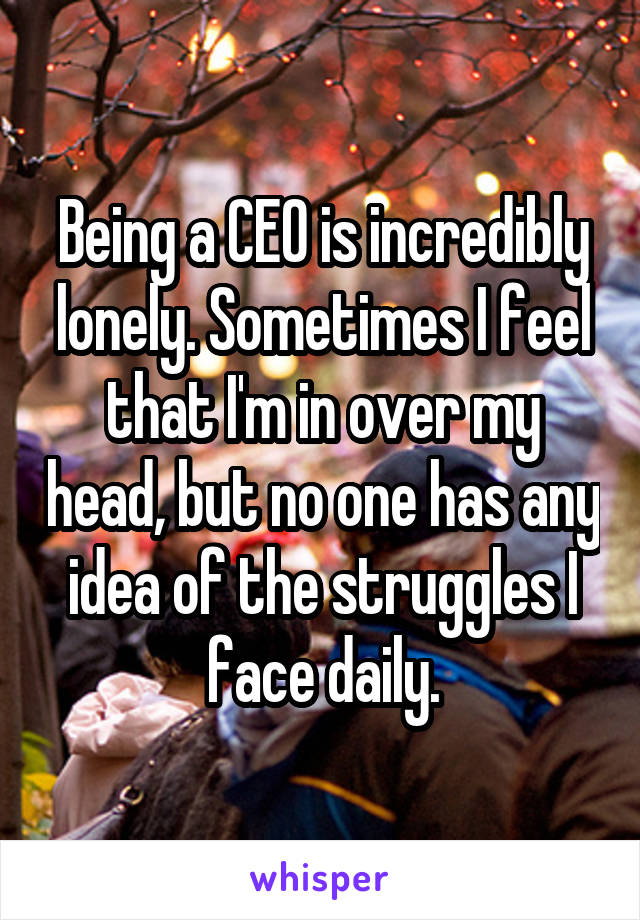 Being a CEO is incredibly lonely. Sometimes I feel that I'm in over my head, but no one has any idea of the struggles I face daily.