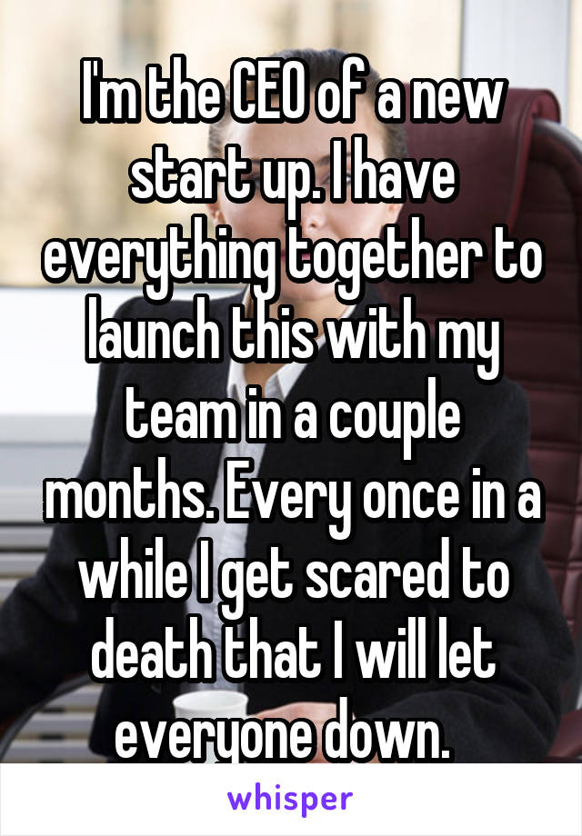 I'm the CEO of a new start up. I have everything together to launch this with my team in a couple months. Every once in a while I get scared to death that I will let everyone down.  