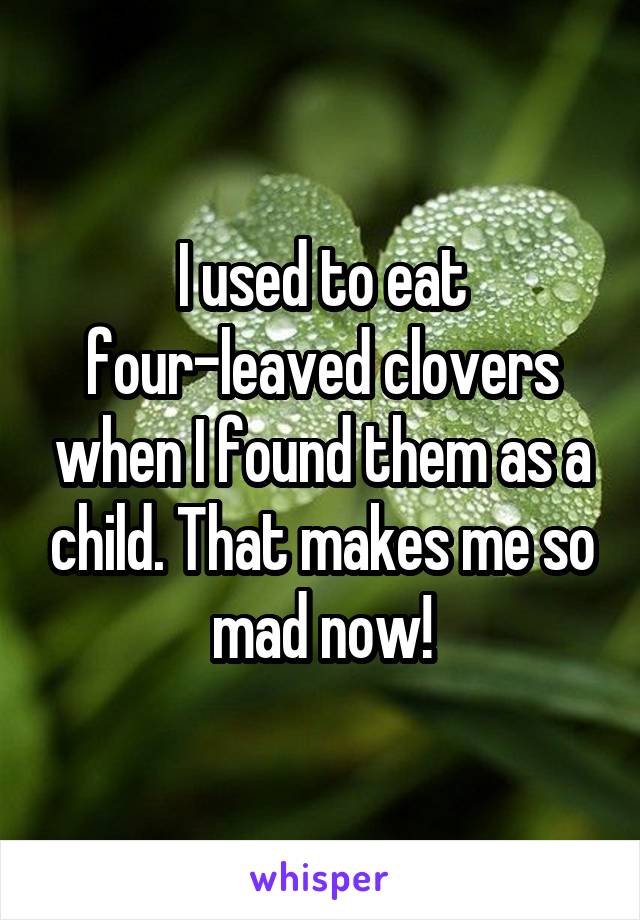 I used to eat four-leaved clovers when I found them as a child. That makes me so mad now!