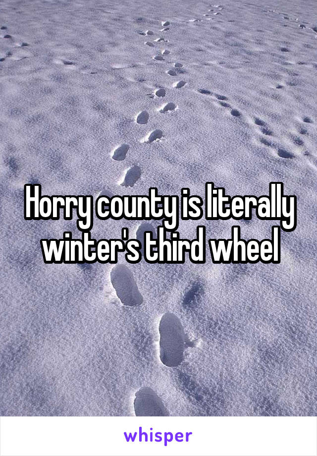 Horry county is literally winter's third wheel