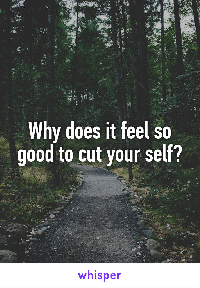 Why does it feel so good to cut your self?