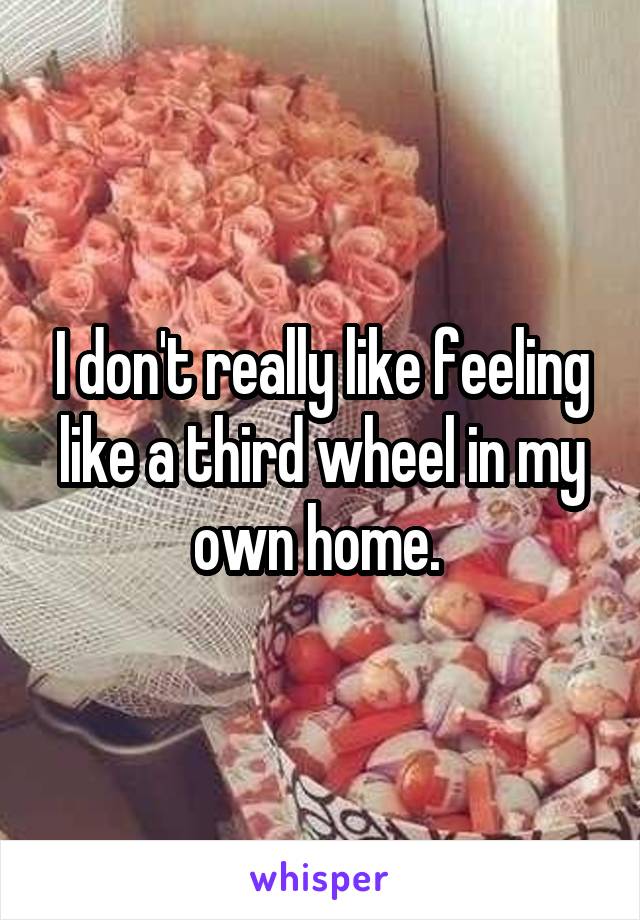 I don't really like feeling like a third wheel in my own home. 