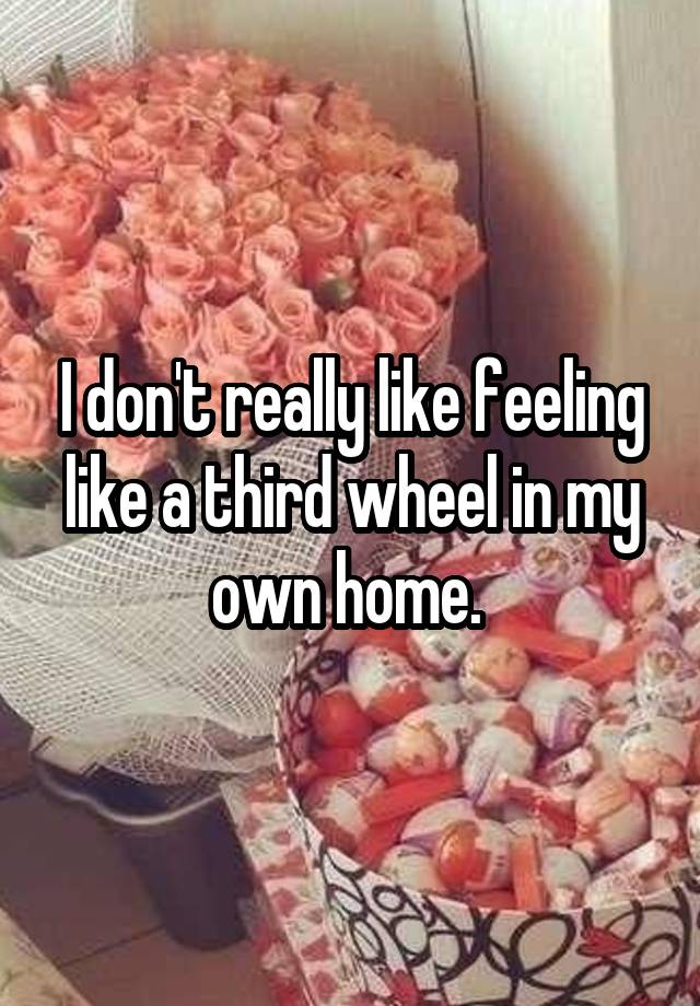 I don't really like feeling like a third wheel in my own home. 