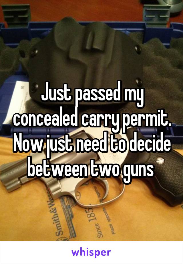 Just passed my concealed carry permit. Now just need to decide between two guns 