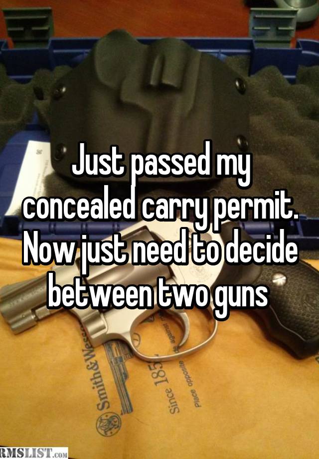 Just passed my concealed carry permit. Now just need to decide between two guns 