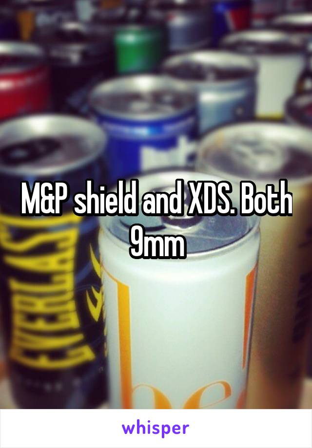 M&P shield and XDS. Both 9mm