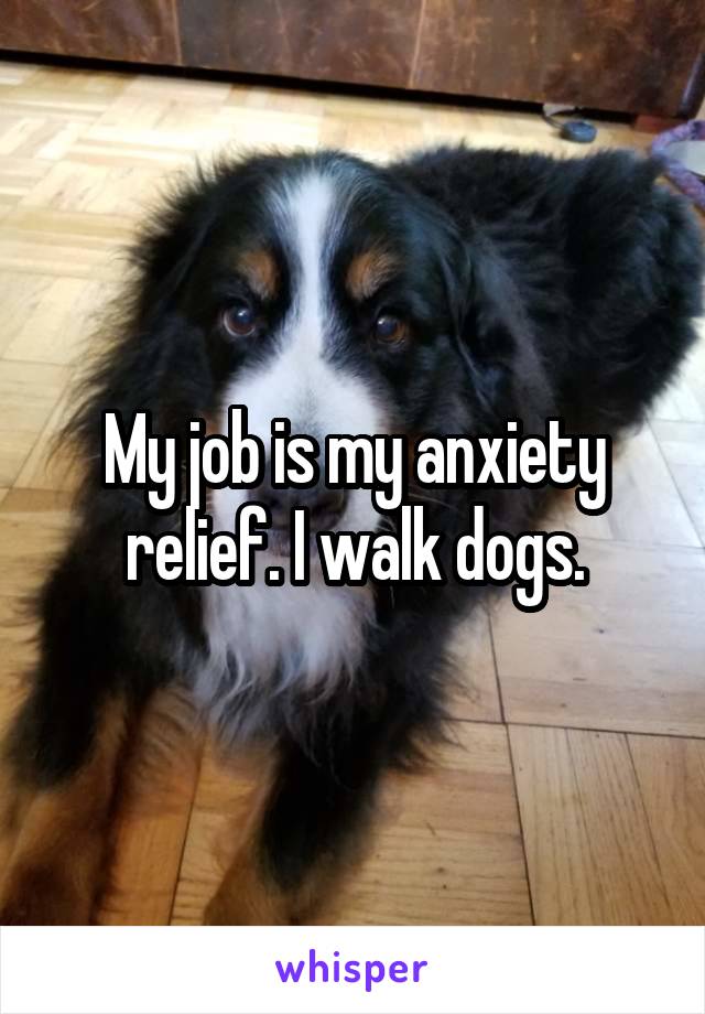 My job is my anxiety relief. I walk dogs.