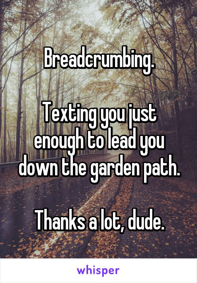 Breadcrumbing.

Texting you just enough to lead you down the garden path.

Thanks a lot, dude.