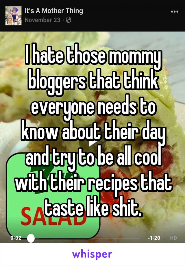 I hate those mommy bloggers that think everyone needs to know about their day and try to be all cool with their recipes that taste like shit.