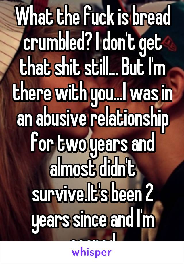 What the fuck is bread crumbled? I don't get that shit still... But I'm there with you...I was in an abusive relationship for two years and almost didn't survive.It's been 2 years since and I'm scared