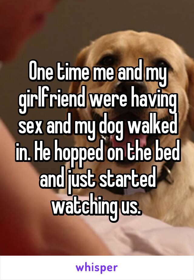 One time me and my girlfriend were having sex and my dog walked in. He hopped on the bed and just started watching us. 