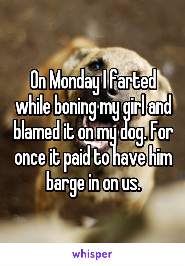 On Monday I farted while boning my girl and blamed it on my dog. For once it paid to have him barge in on us.