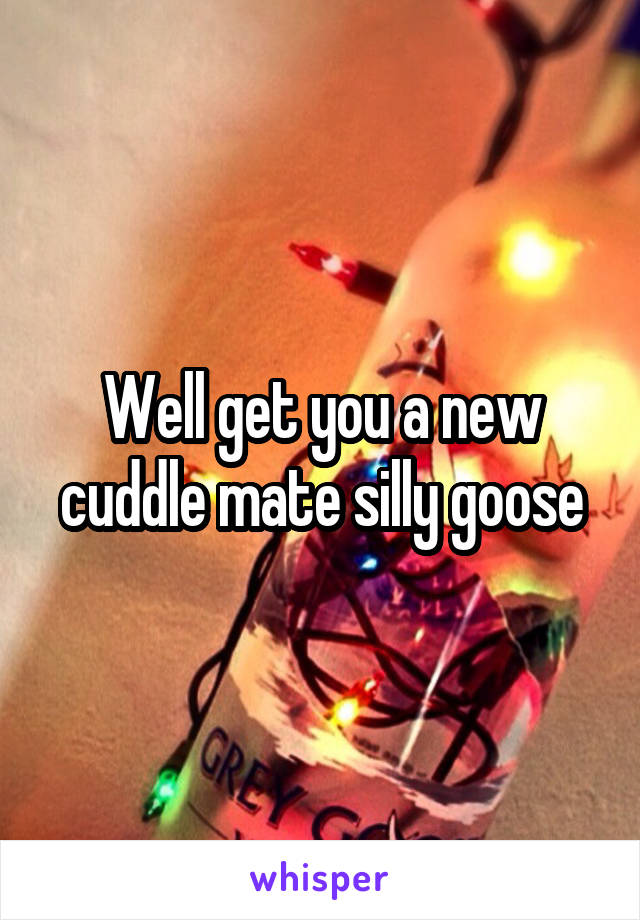 Well get you a new cuddle mate silly goose