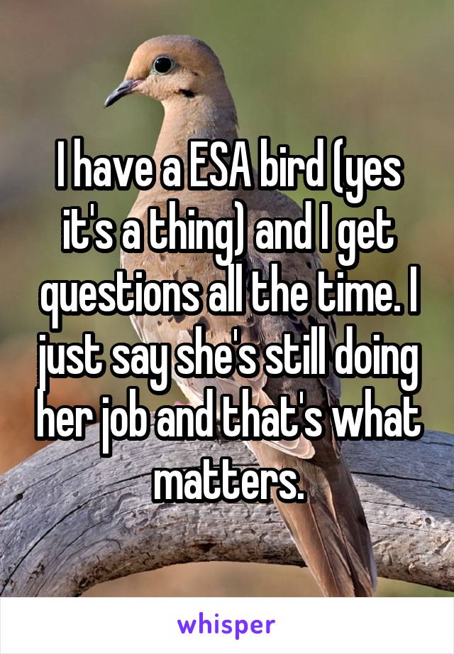 I have a ESA bird (yes it's a thing) and I get questions all the time. I just say she's still doing her job and that's what matters.