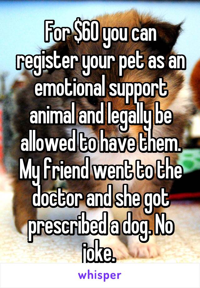 For $60 you can register your pet as an emotional support animal and legally be allowed to have them. My friend went to the doctor and she got prescribed a dog. No joke. 