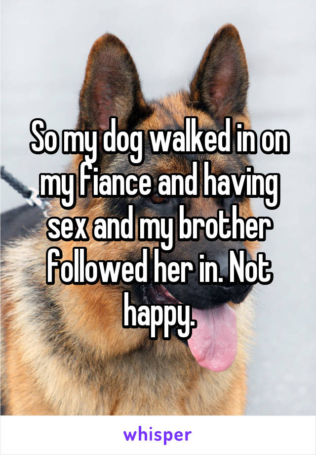 So my dog walked in on my fiance and having sex and my brother followed her in. Not happy.